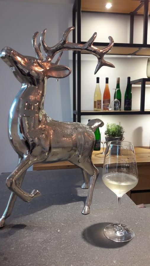 ホテル Weinhaus Fries Kattenes エクステリア 写真